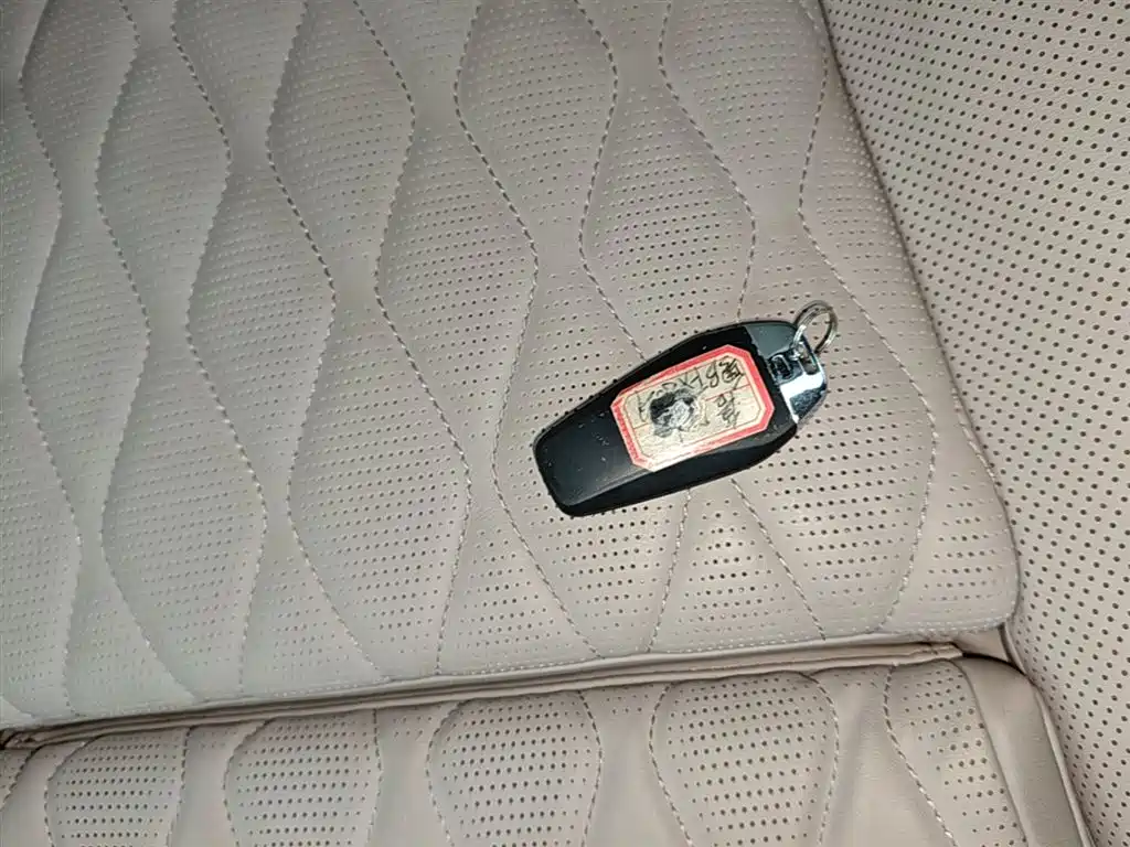 BYD Tang New Energy 2025 Smart Driving Edition DM-i 115KM Flagship фото 9
