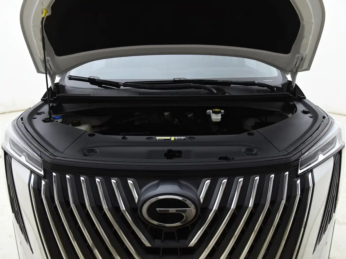 GAC Trumpchi Trumpchi M8 2024 Master Series 400T Premium Edition фото 19