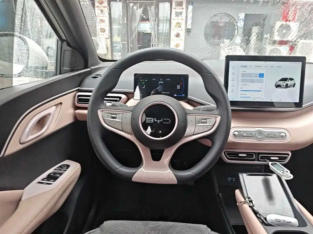 BYD Seagull 2025 Smart Drive Edition 305km Vitality Version фото 11