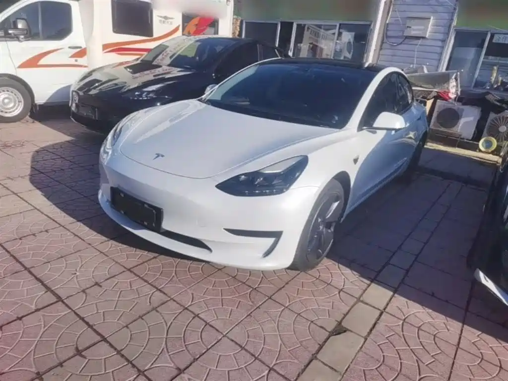 Tesla Model 3 2022 Model Rear-Wheel Drive Version