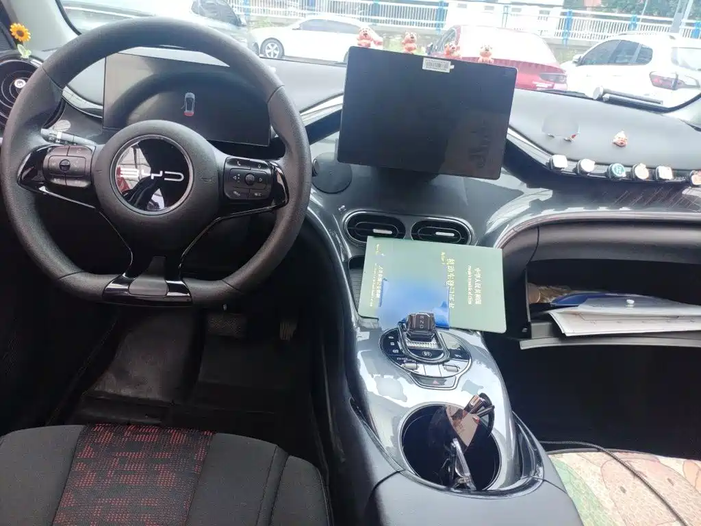 Photo 6 - BYD e2