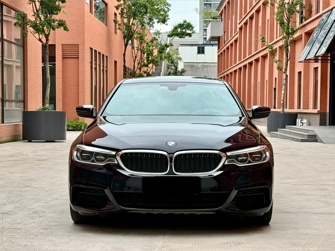 BMW 5 Series 2020 530Li Exclusive M Sport Package фото 2