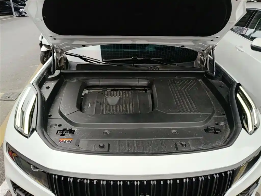 Lynk & Co 09 EM-P 2021 2.0T PHEV Halo 6-seater фото 20