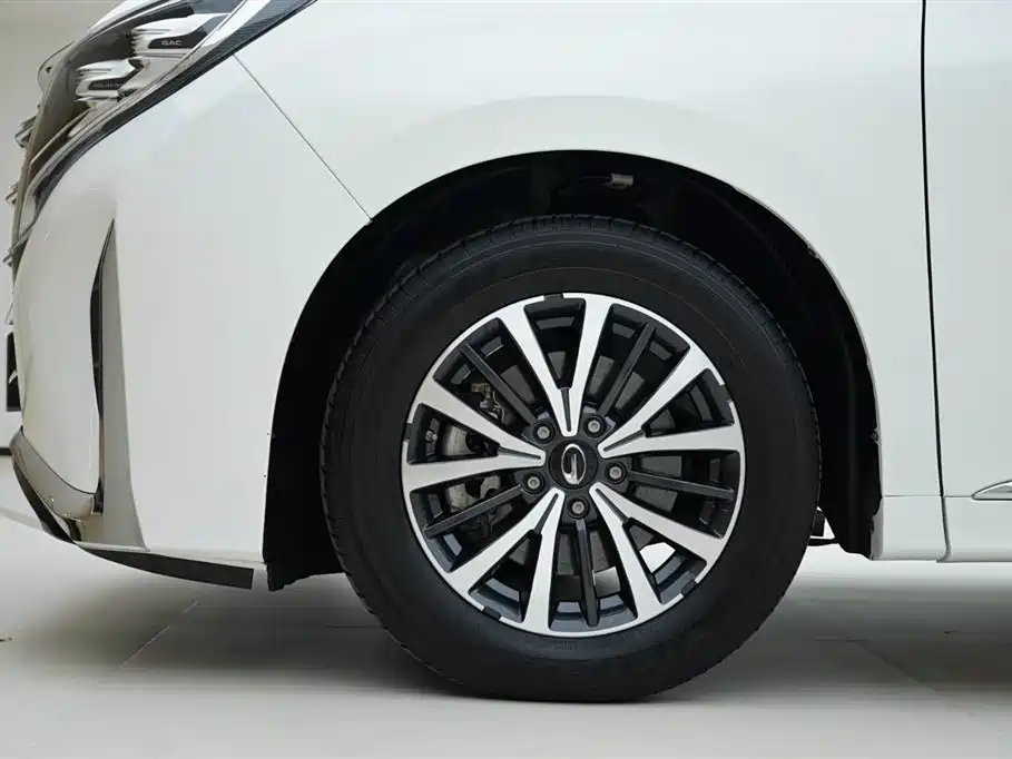 GAC Trumpchi Trumpchi M8 2021 Leading Show Series 390T Luxury Edition фото 16