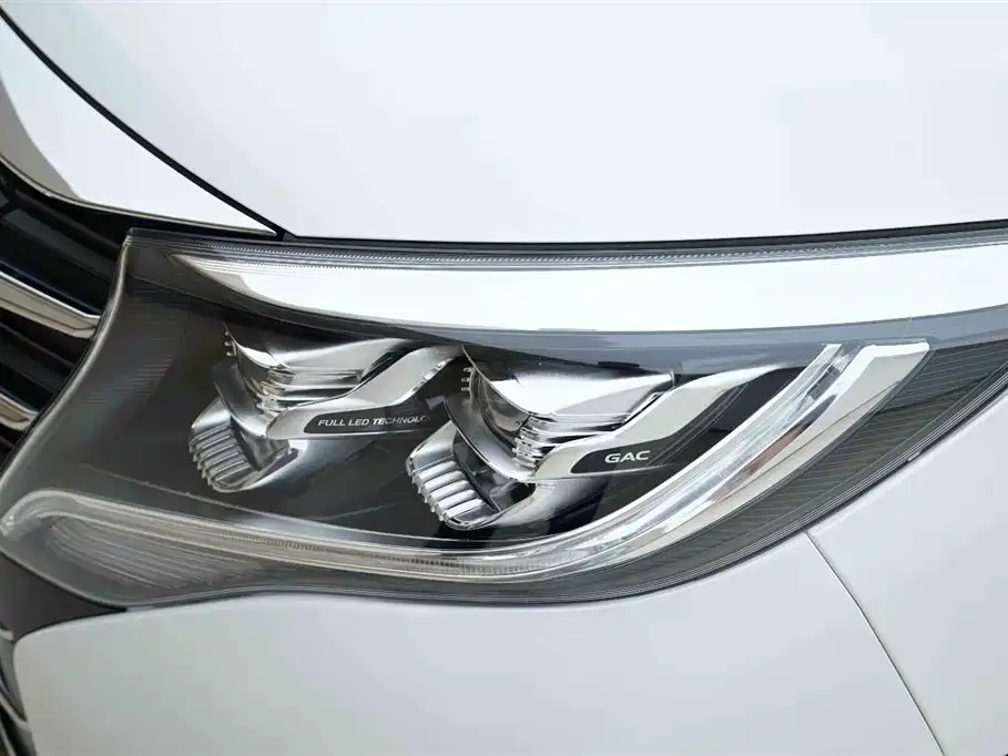 GAC Trumpchi Trumpchi M8 2021 Leading Show Series 390T Luxury Edition фото 15