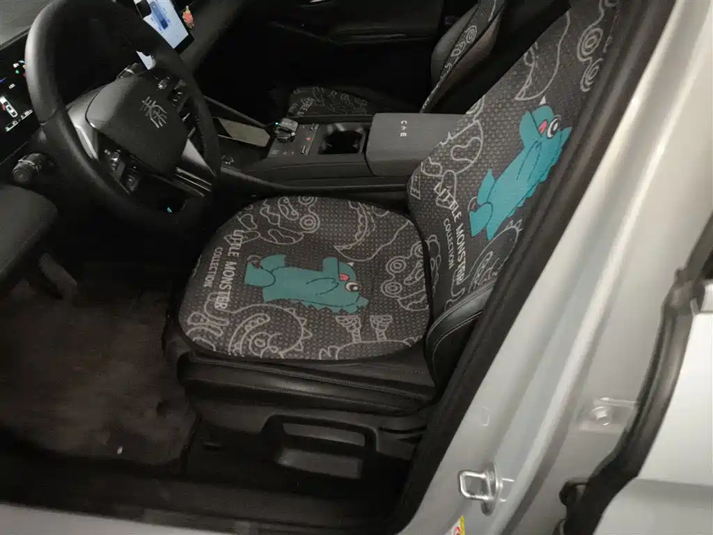 BYD Qin L 2024 DM-i 80KM Leading Edition фото 15