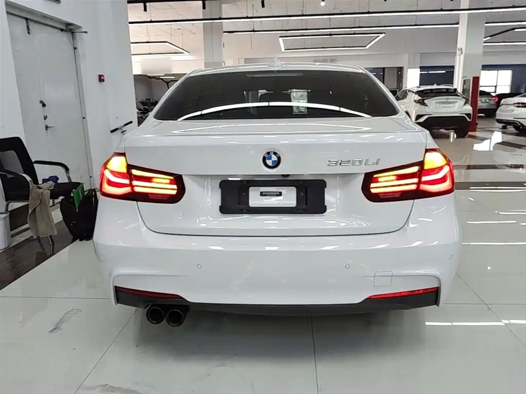 BMW 3 Series 2019 320Li M Sport Black Night Edition фото 6