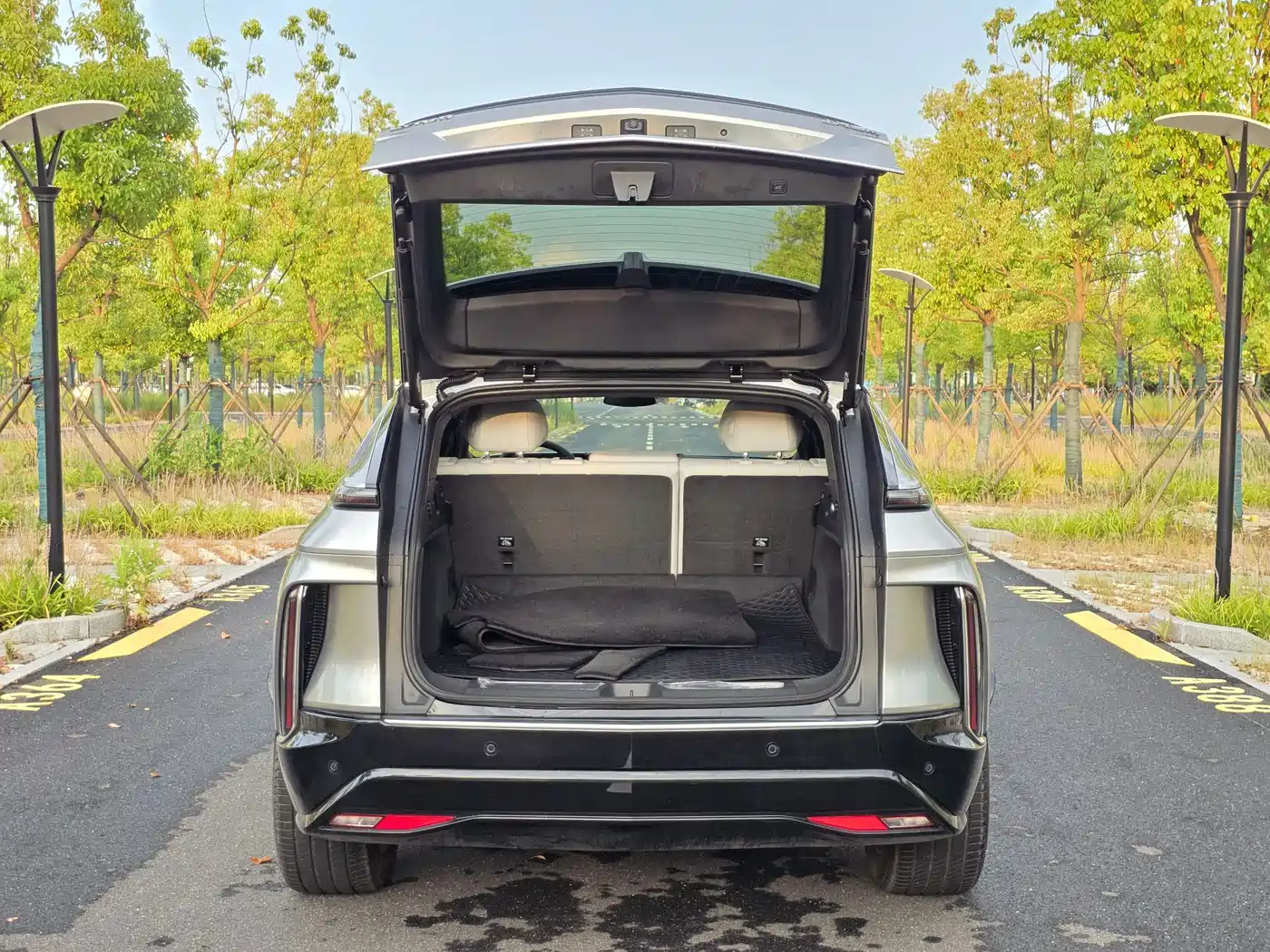 Cadillac IQ Rui Ge 2024 2024 RWD Standard Range Luxury Edition