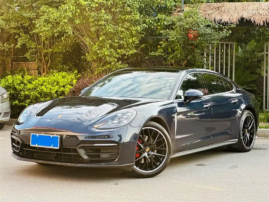 Porsche Panamera 2022 Panamera 2.9T Platinum Edition