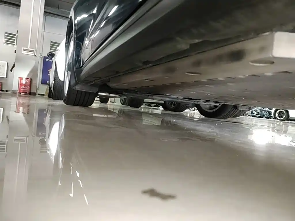 Ora Good Cat 2021 2021 400km Standard Range Venus Edition (LFP)