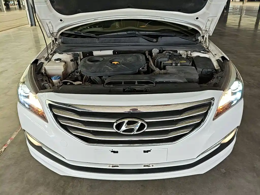 Photo 20 - Hyundai Mistra