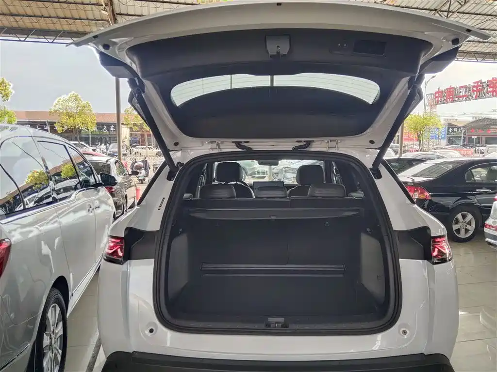 BYD Song L DM-i 2025 Smart Drive Edition 112km Surpassing фото 19