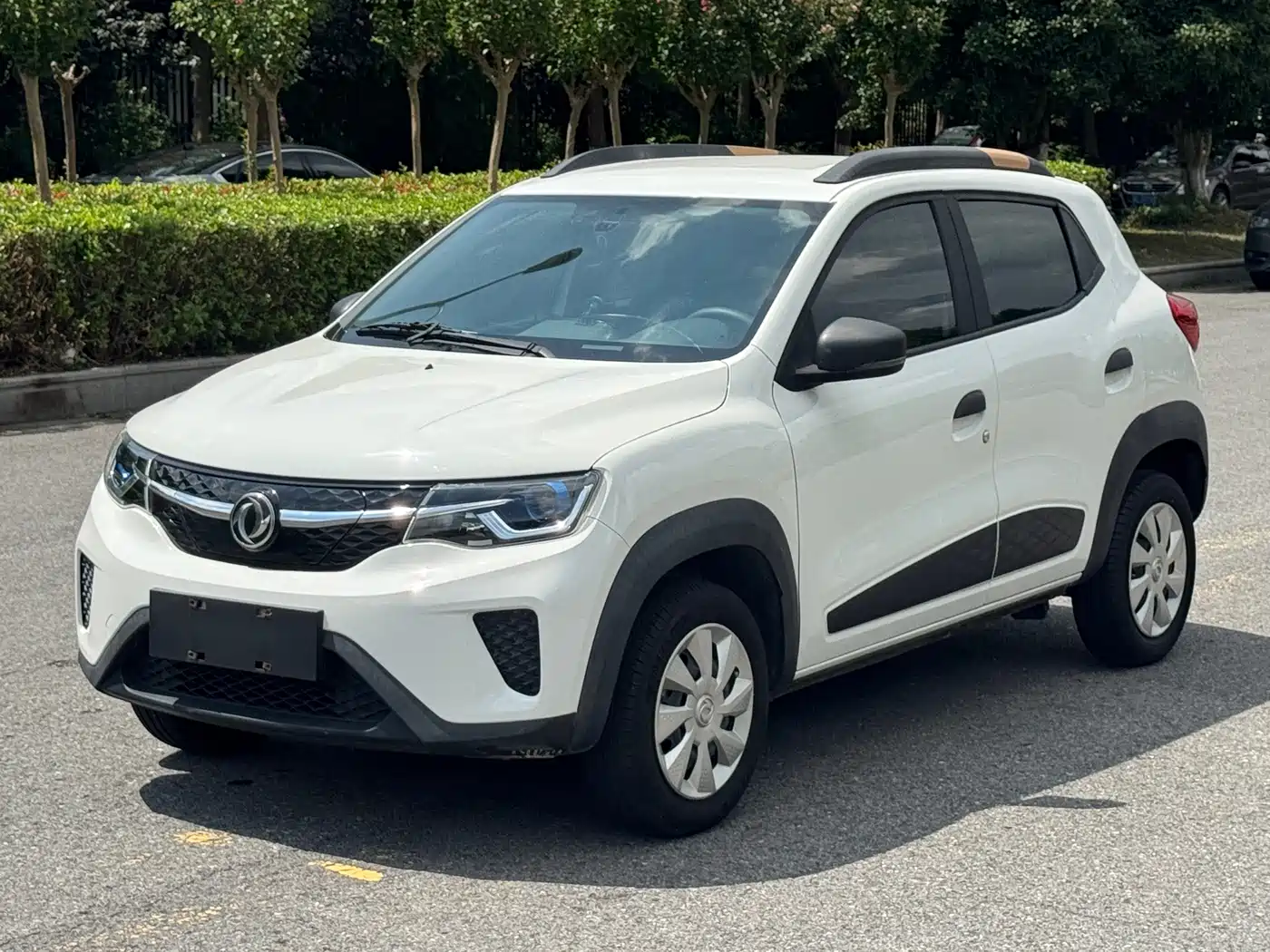 Dongfeng Yipai Dongfeng Nano EX1 2021 2022 Premium Enjoyment Edition