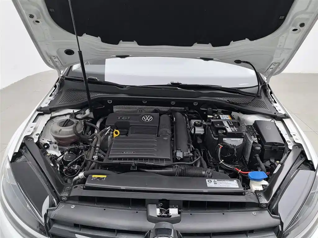 Volkswagen Golf 2019 280TSI DSG Comfort China VI фото 6