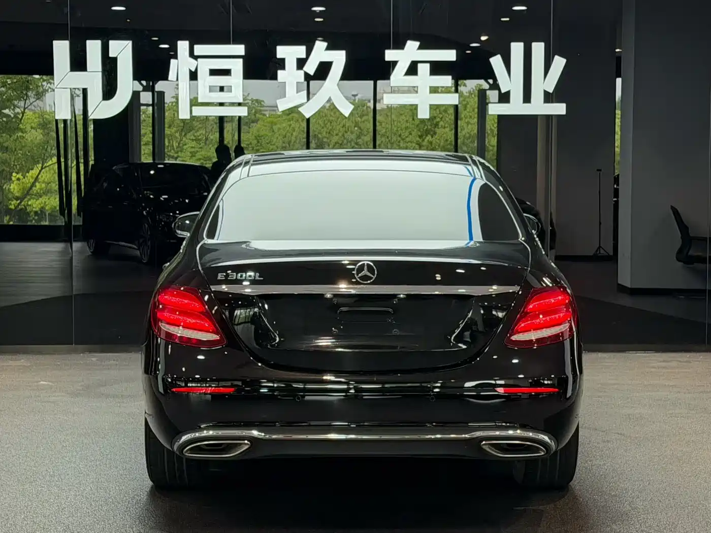 Mercedes-Benz E-Class 2020 E 300 L Luxury Model фото 3