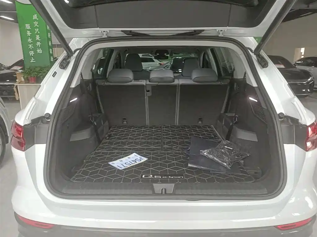 Audi Q5 e-tron 2022 40 e-tron Starlight Edition Brocade Package фото 19