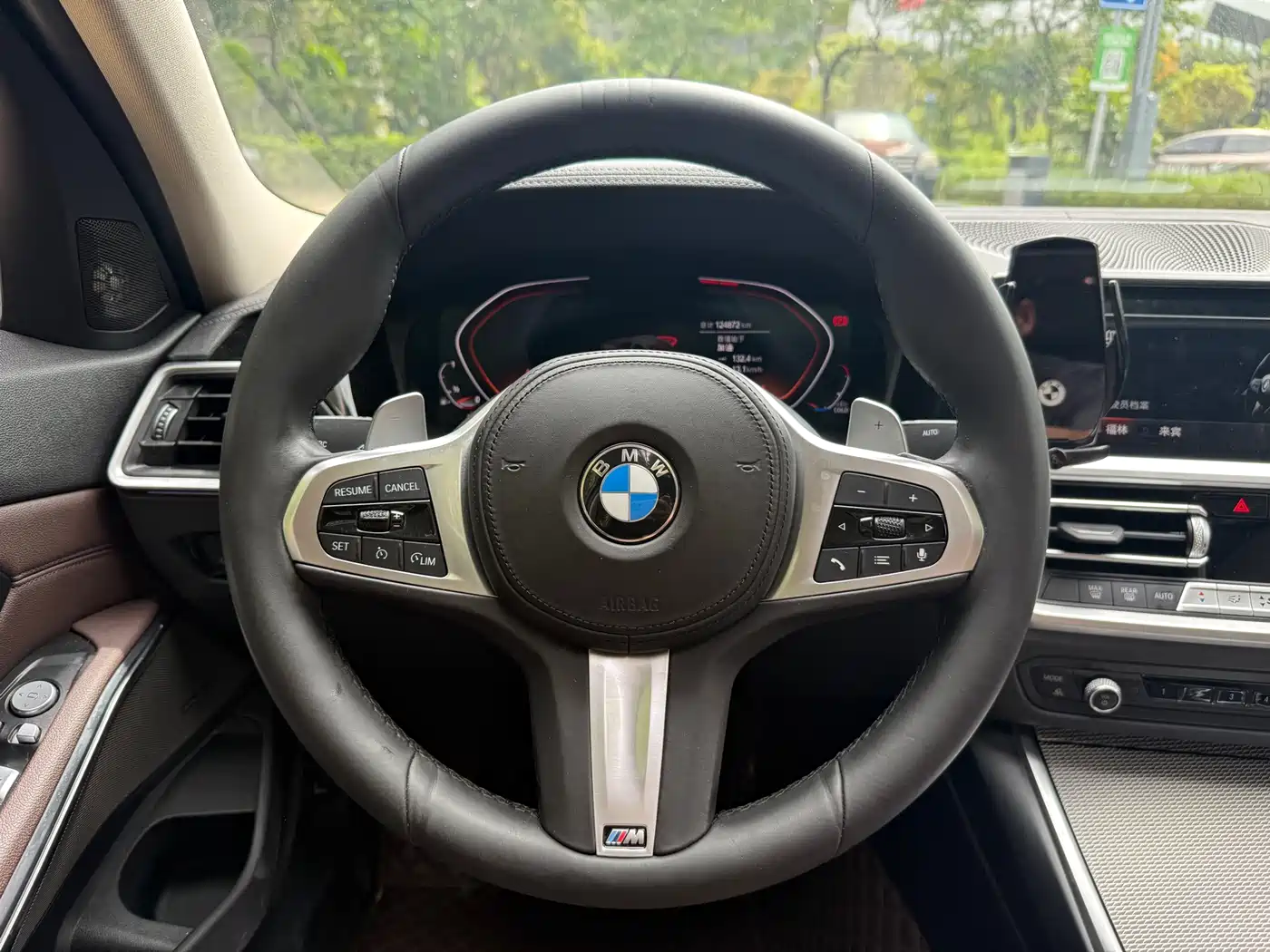 BMW 3 Series 2020 325Li M Sport Black Night Package фото 15