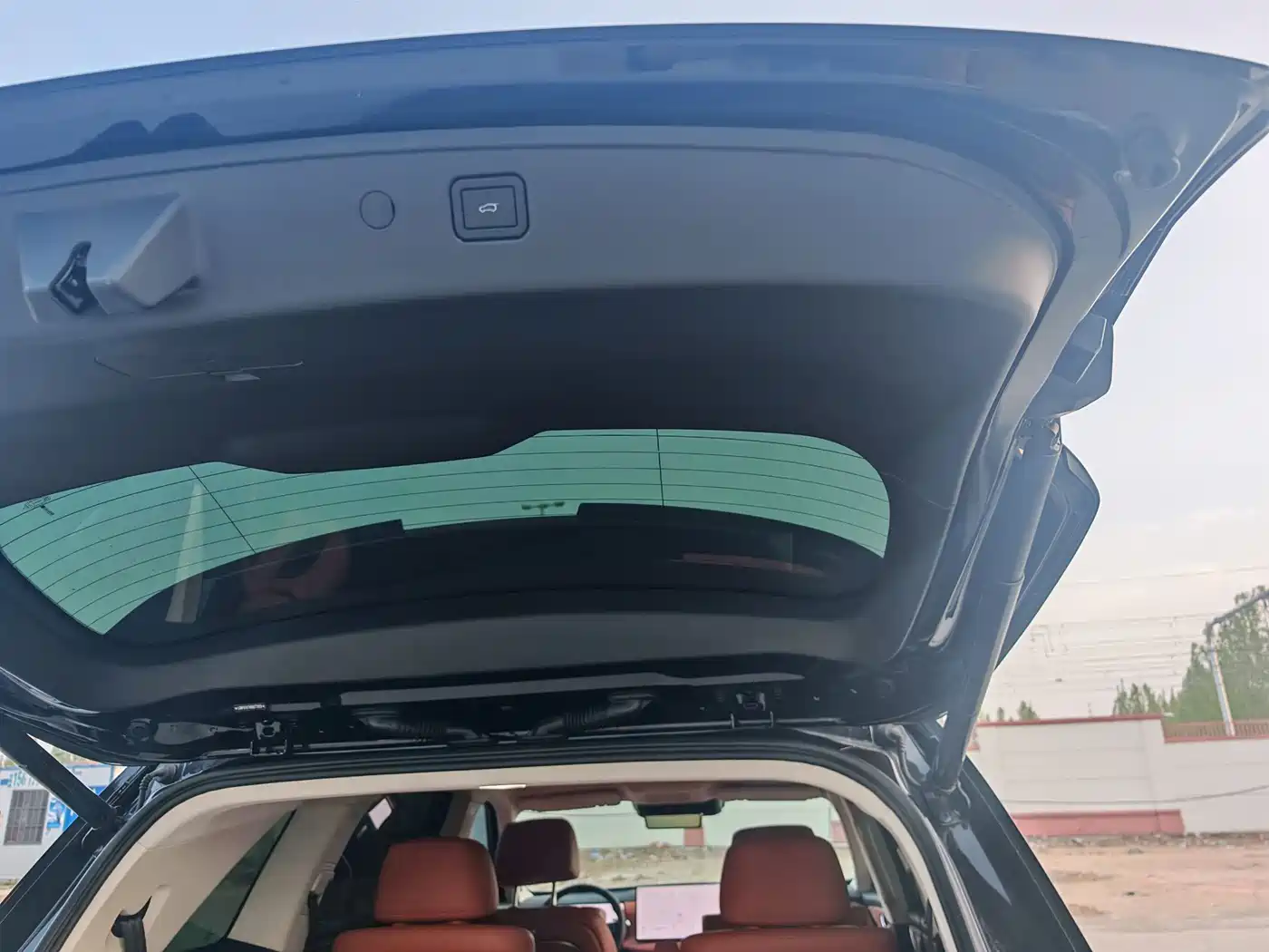 WEI PAI WEI BRAND BLUE MOUNTAIN