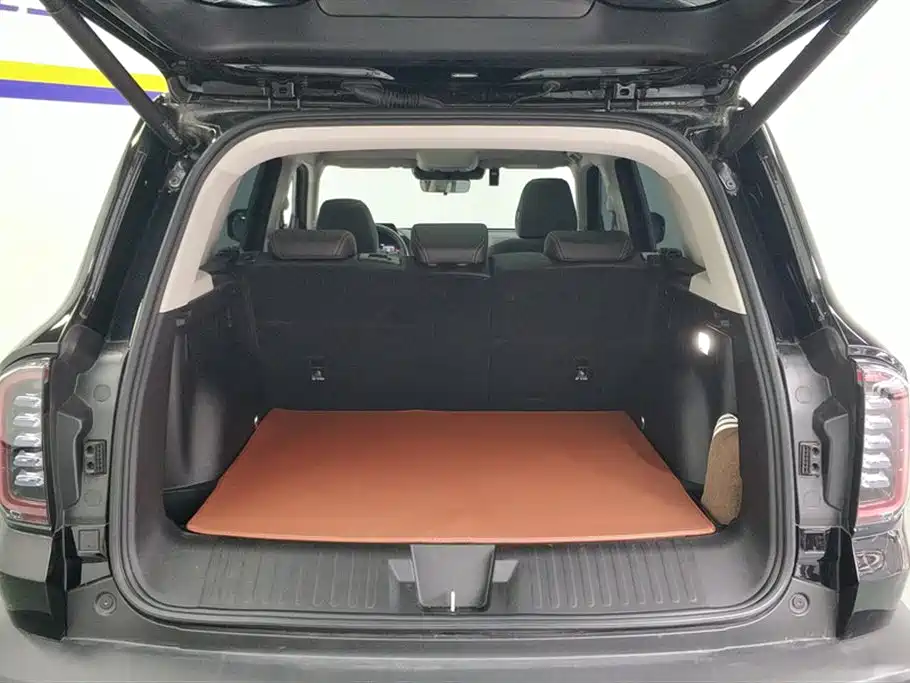 Haval Big Dog 2024 1.5T DCT Border Collie Edition фото 4
