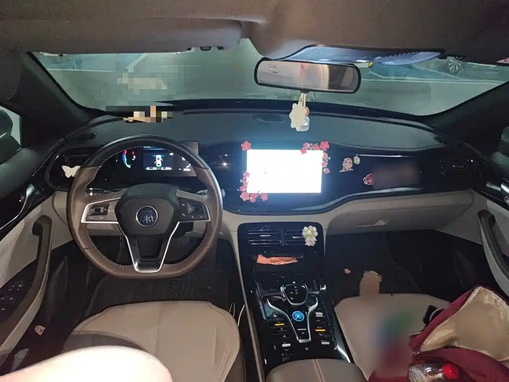 BYD Qin PLUS 2024 Glory Edition DM-i 55KM Leading фото 13