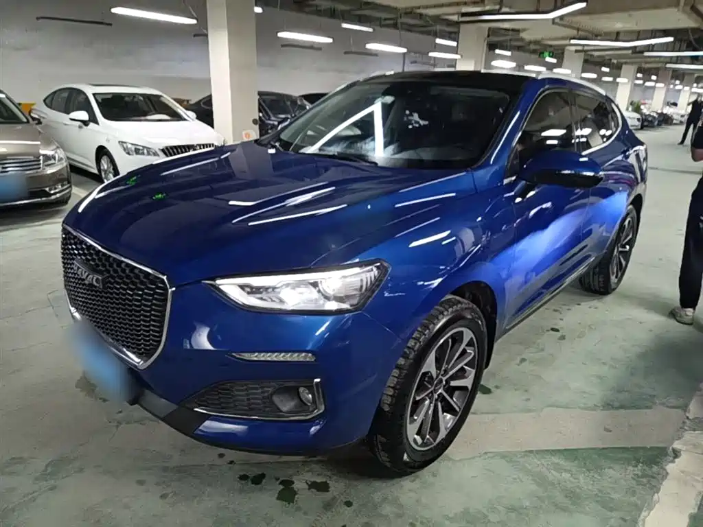 Haval F5 2019 National Trend Edition 1.5T iTrend China VI фото 2