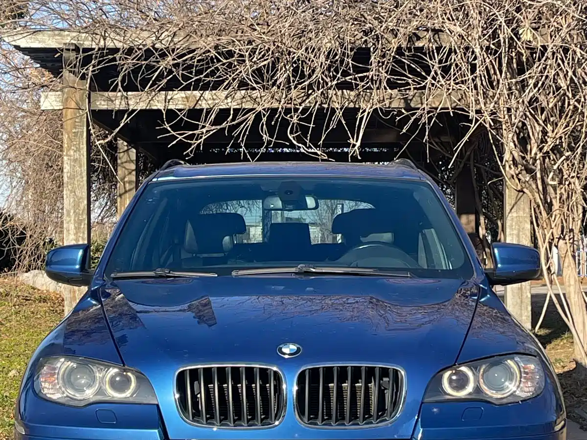 BMW X5 M 2010 X5 M фото 2