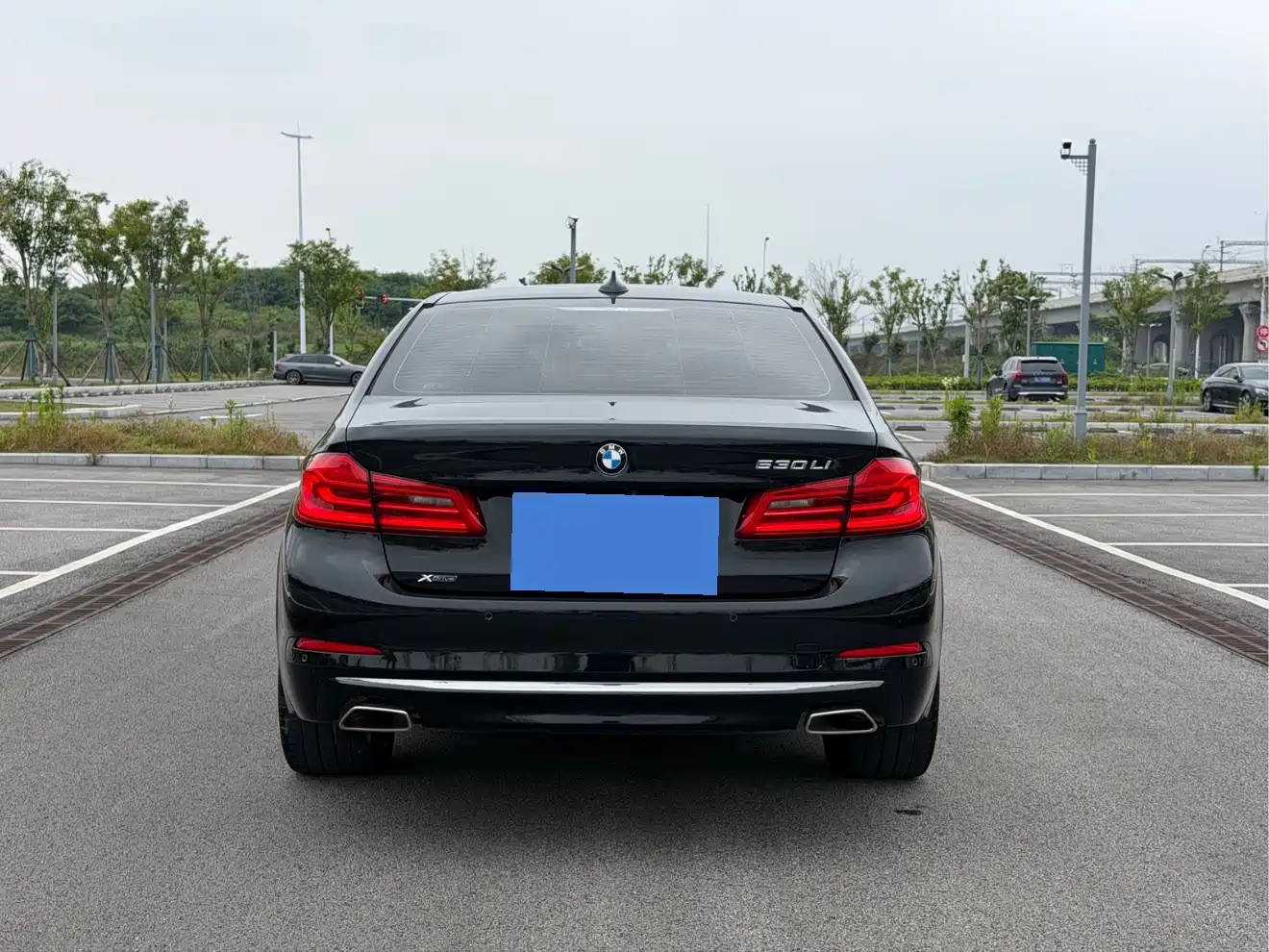BMW 5 Series 2020 530Li Leading Luxury Package фото 5
