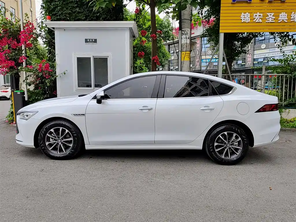 BYD Qin PLUS 2024 Glory Edition DM-i 55KM Leading фото 3