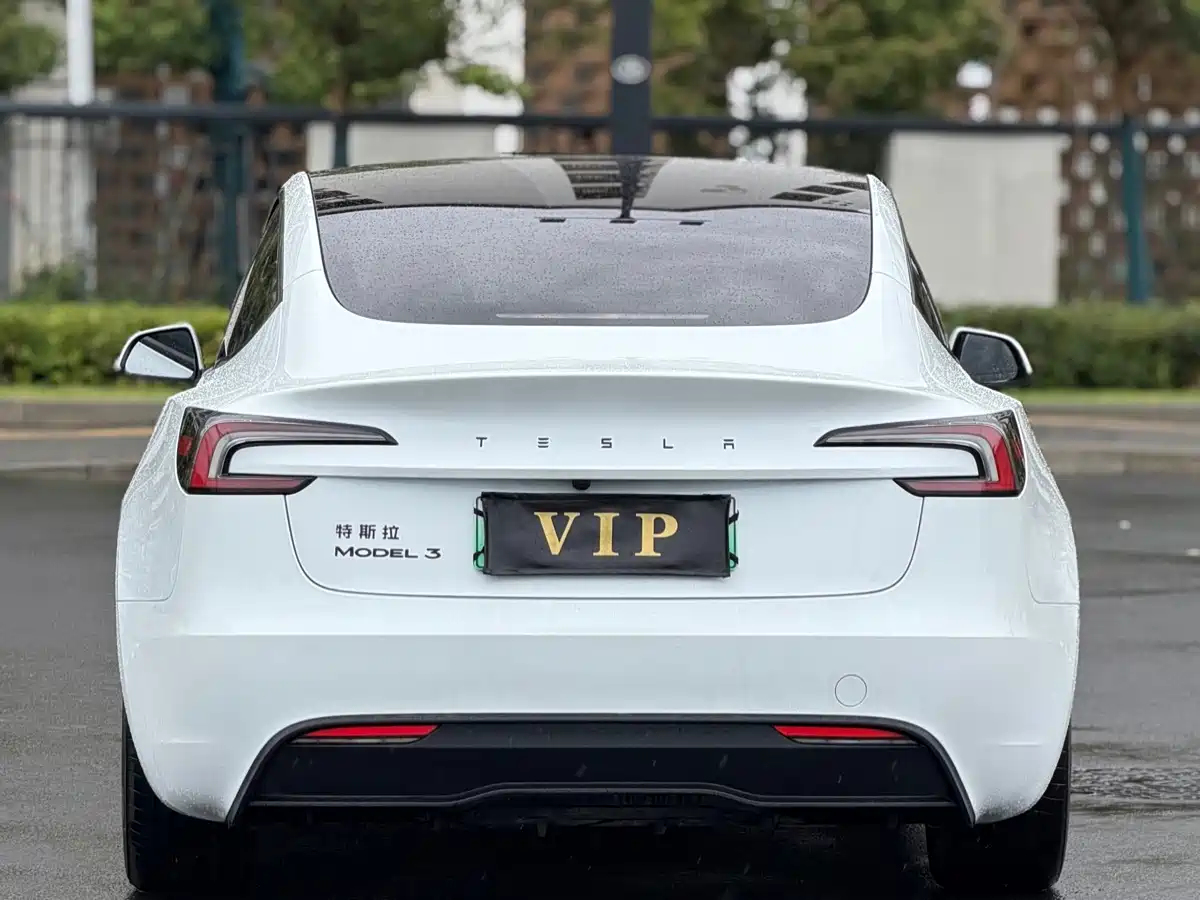 Tesla Model 3 2026 2025 Model Rear-Wheel Drive Edition