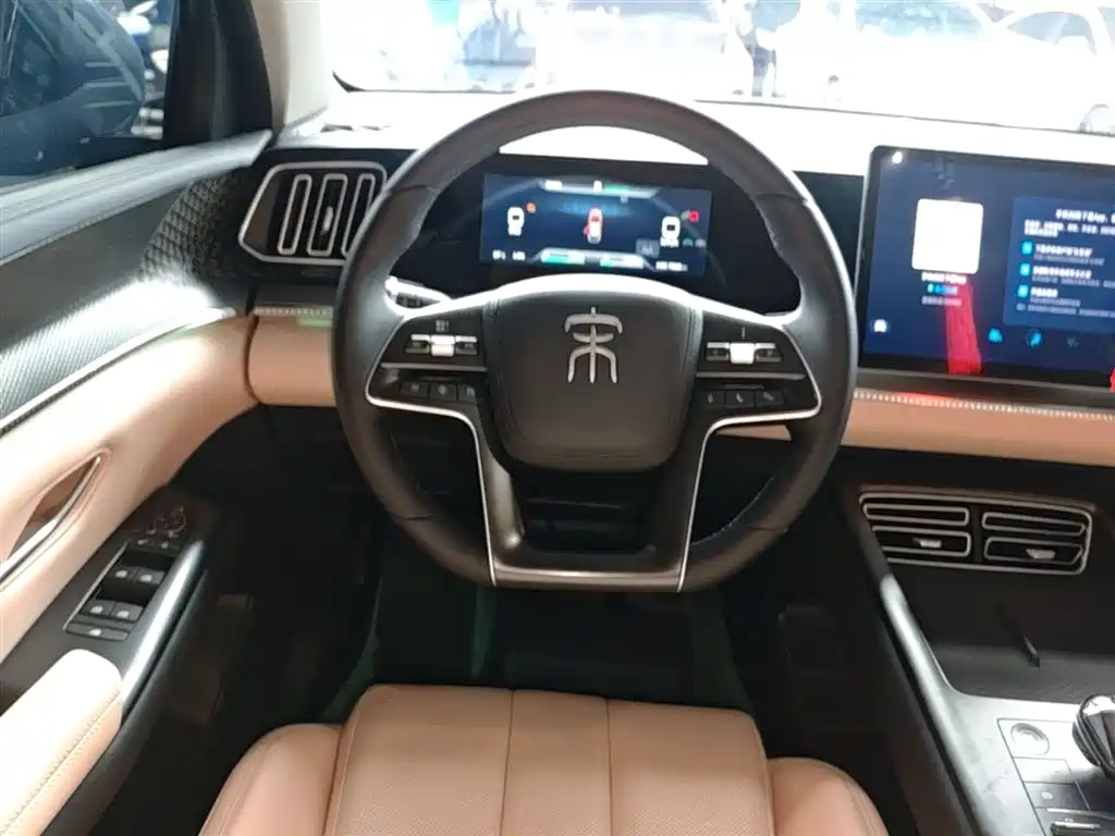 BYD Song Pro New Energy 2025 2nd Gen DM-i 115KM Surpassing Type фото 11