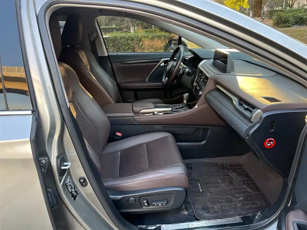 Lexus RX 2020 300 4WD Elegance Edition China VI фото 17