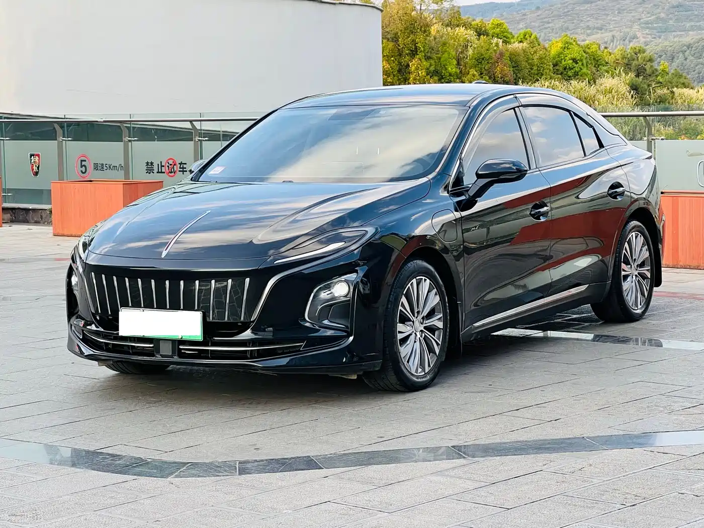 Hongqi HONGQI E QM5