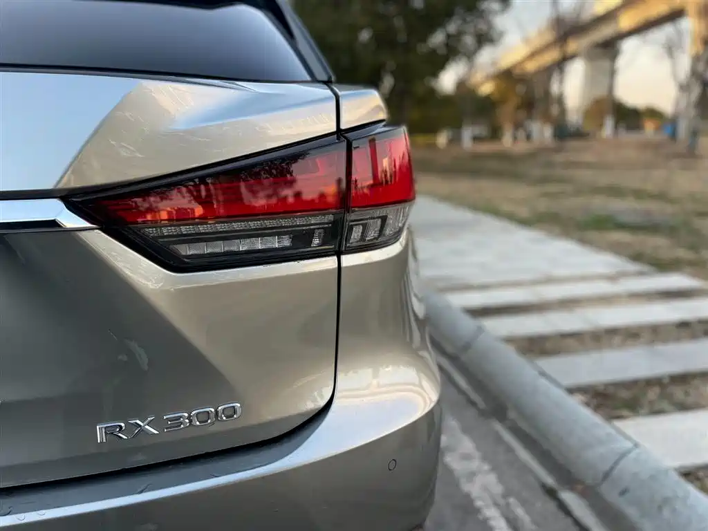 Lexus RX 2020 300 4WD Elegance Edition China VI фото 8
