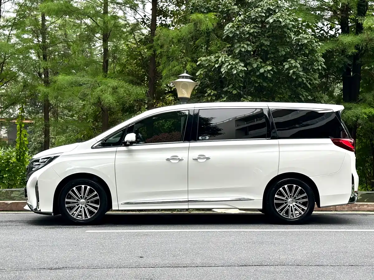 GAC Trumpchi Trumpchi M8 2021 Leading Show Series 390T Ultimate Edition фото 5