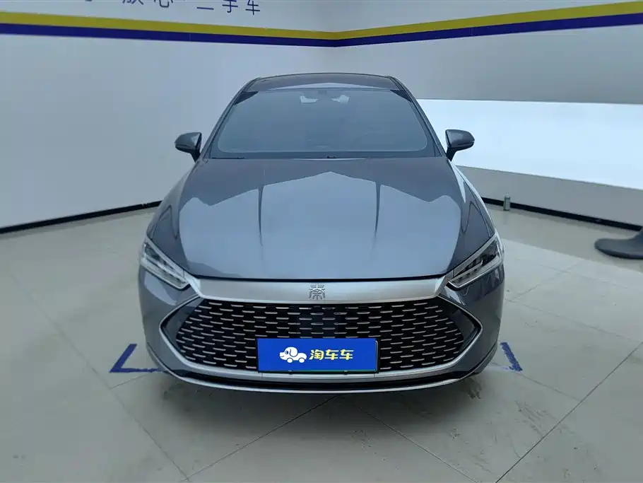 BYD Qin PLUS 2024 Glory Edition DM-i 55KM Leading фото 2