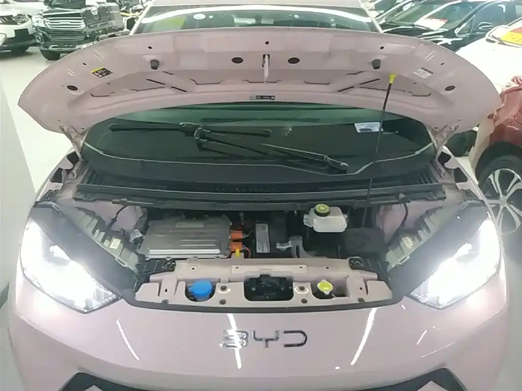 BYD Seagull 2024 Glory Edition 305km Freedom Edition фото 20