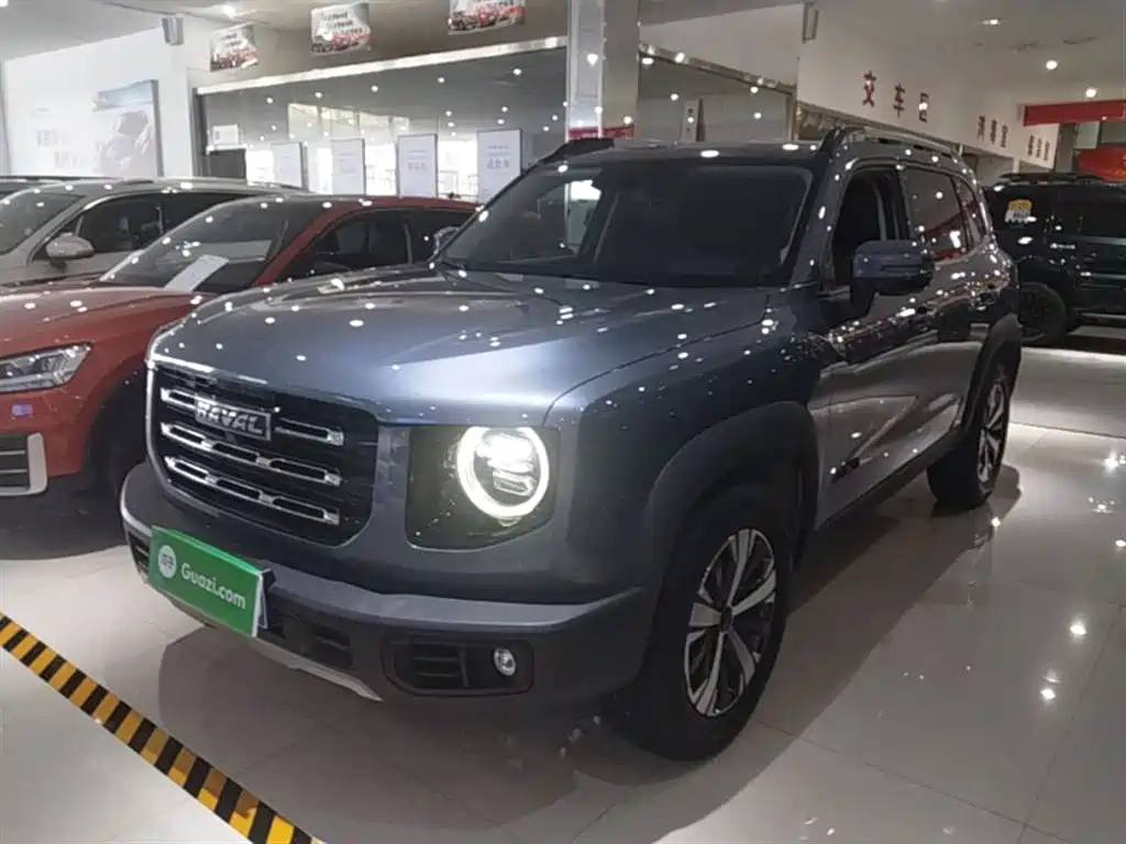 Haval Big Dog 2021 1.5T DCT 2WD Labrador Edition