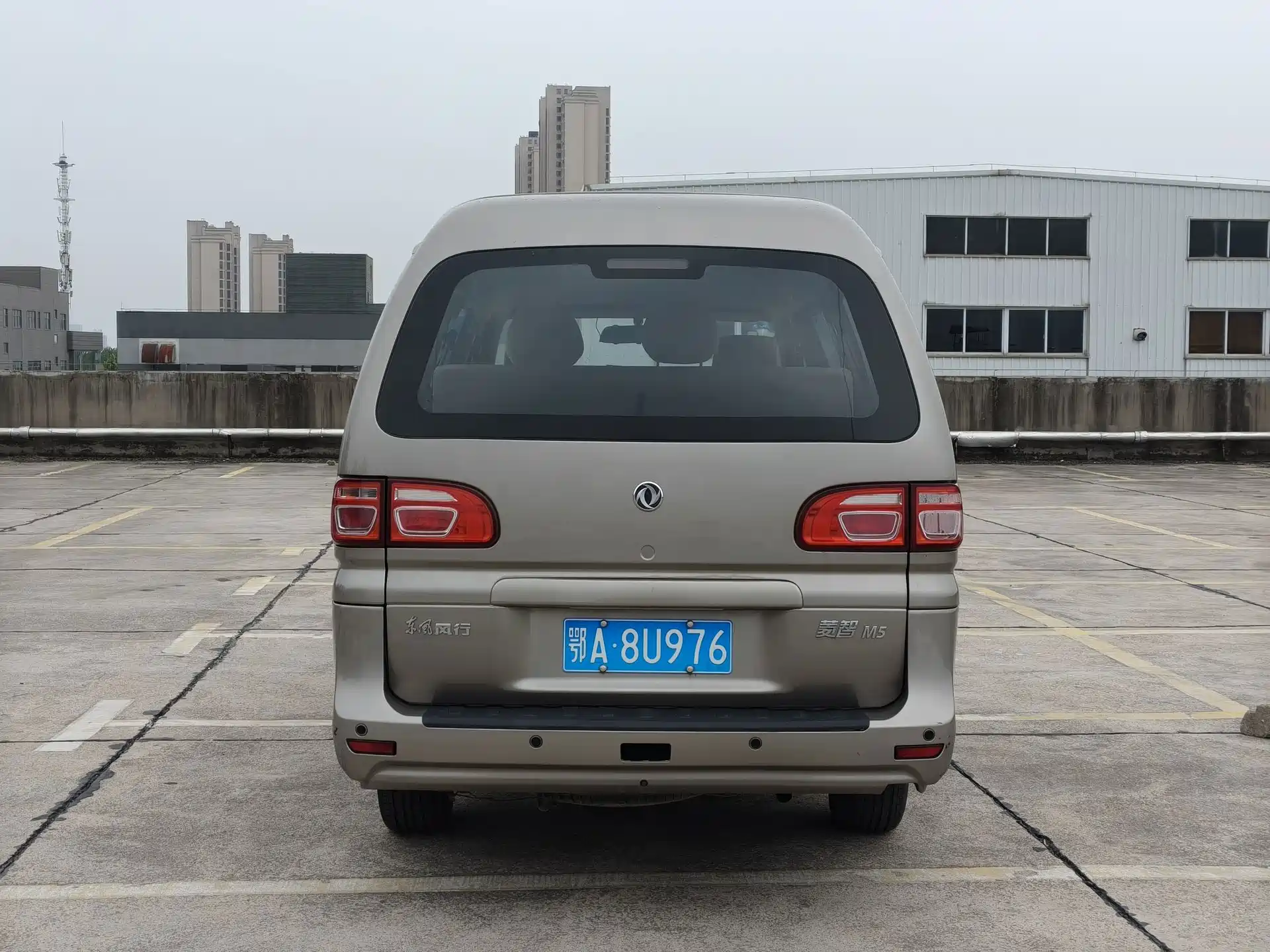 صورة 5 - Dongfeng Fengxing Lingzhi