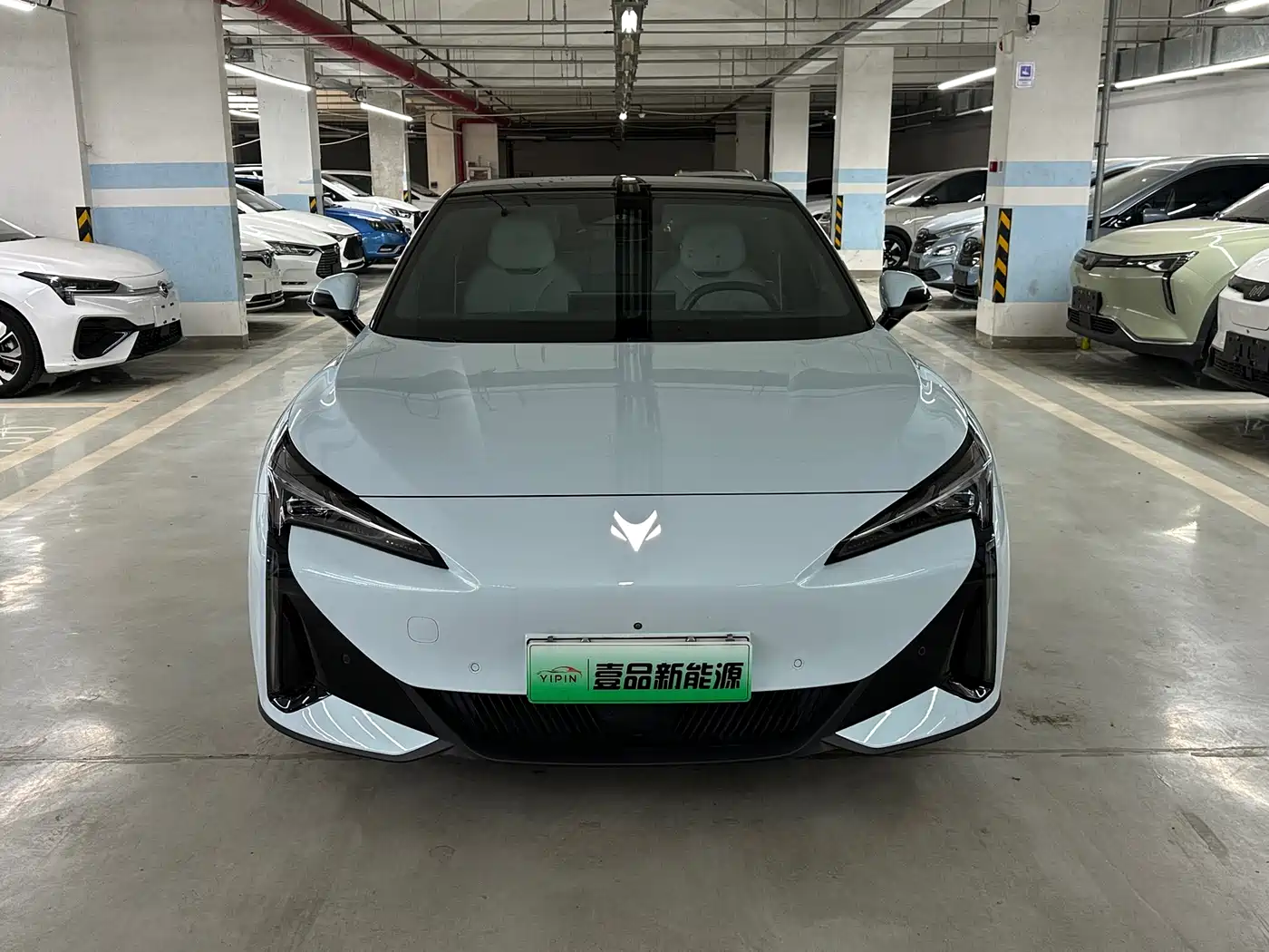 ARCFOX EXTREME FOX POLAR FOX ALPHA S5