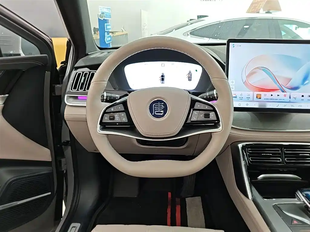 BYD Tang New Energy 2025 Smart Driving Edition DM-i 115KM Flagship фото 11