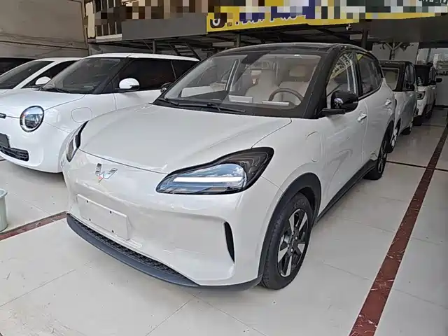 Wuling Motors Wuling Binguo PLUS 2024 510km Range 5-seater