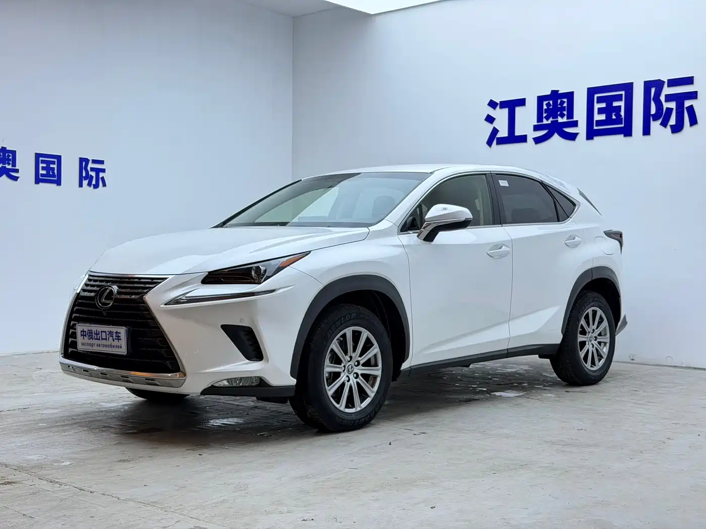 Lexus NX 2018 Model 200 FWD Fengxing Edition China V
