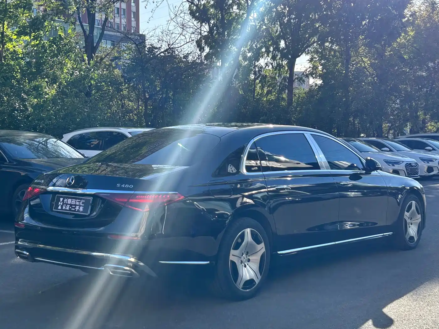 Фото 4 - Mercedes-Benz Maybach S-Class
