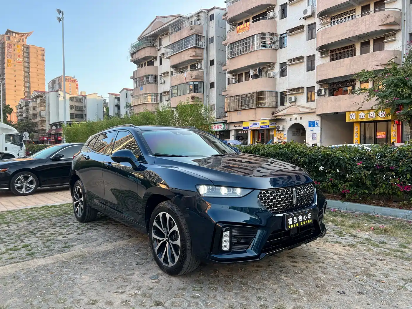 WEI PAI WEI BRAND VV7