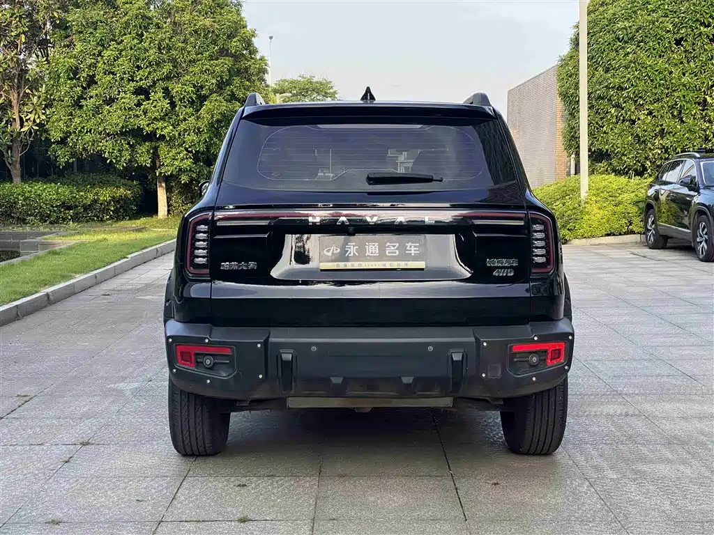 Haval Big Dog 2024 2.0T DCT Chinese Rural Dog Edition фото 8