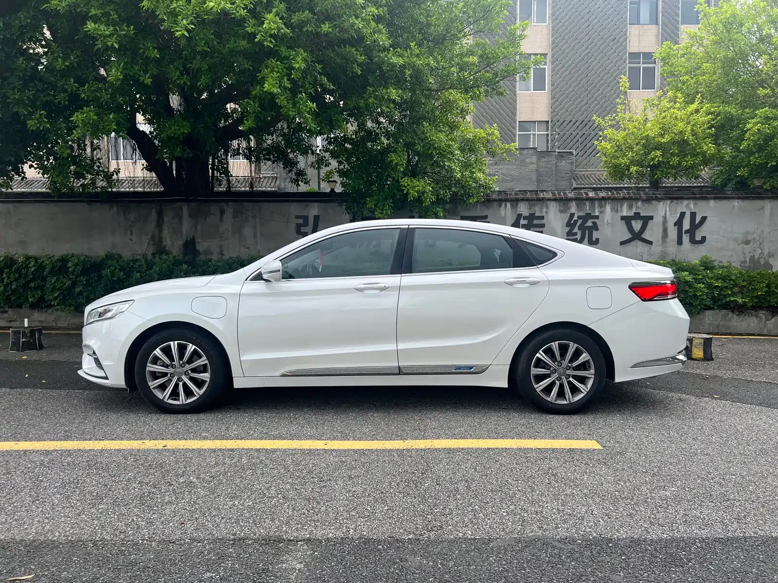 Фото 10 - Geely Borui
