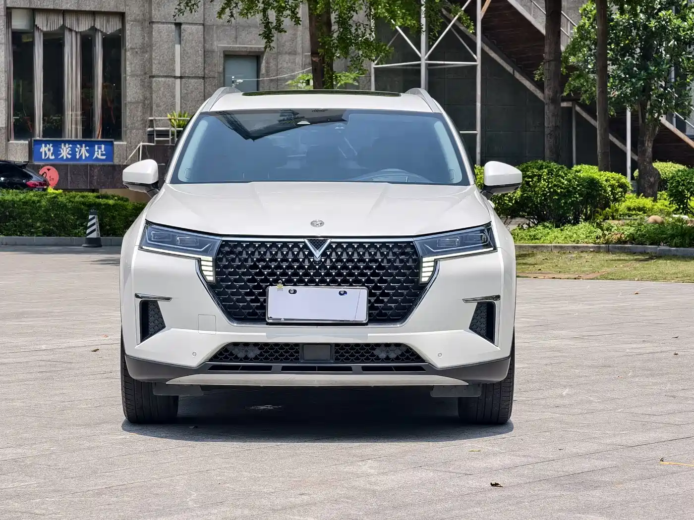 Venucia Star 2023 2021 260T Automatic 48V Mild Hybrid Turbo Starlight Edition
