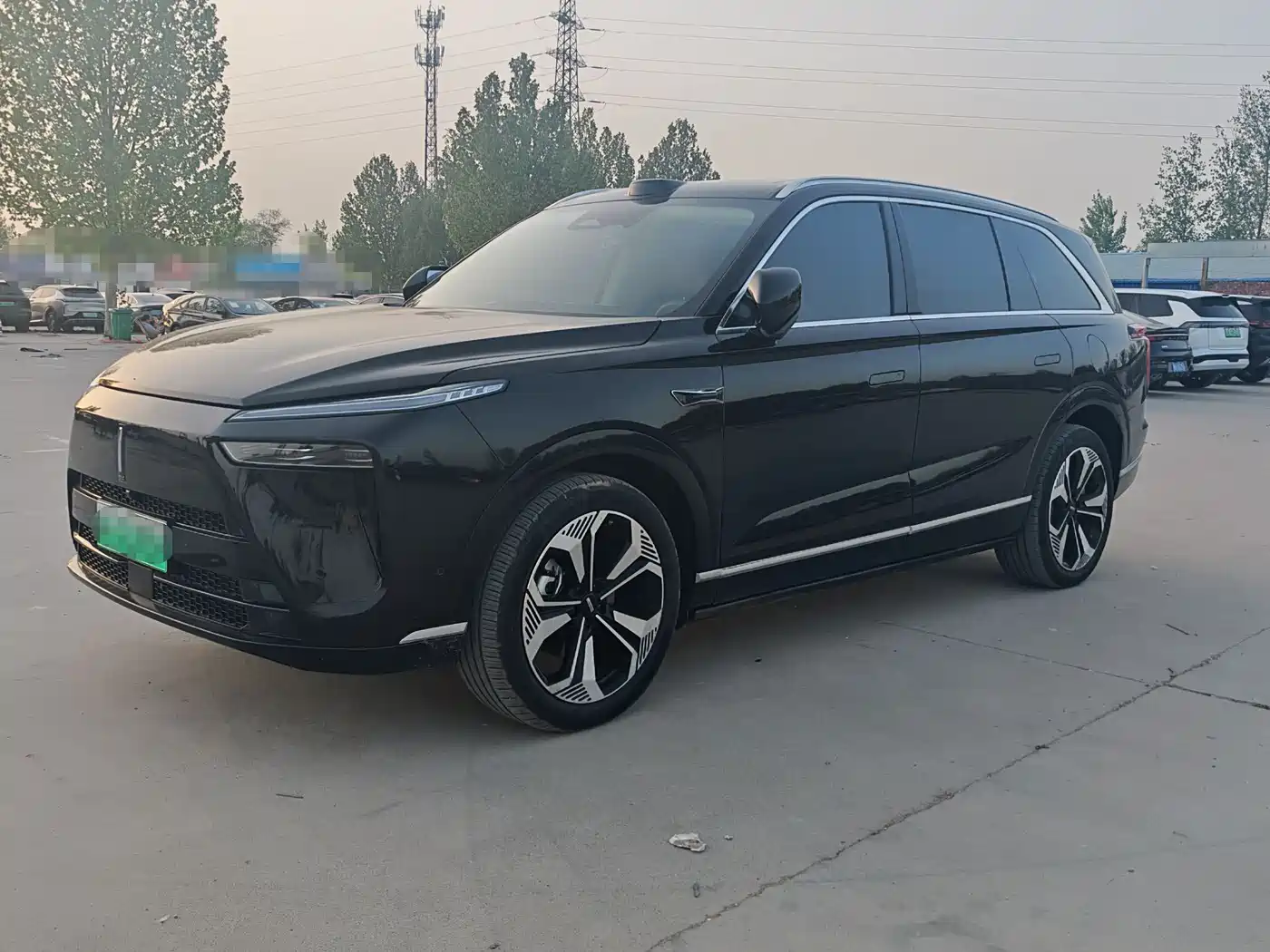 WEI PAI WEI BRAND BLUE MOUNTAIN