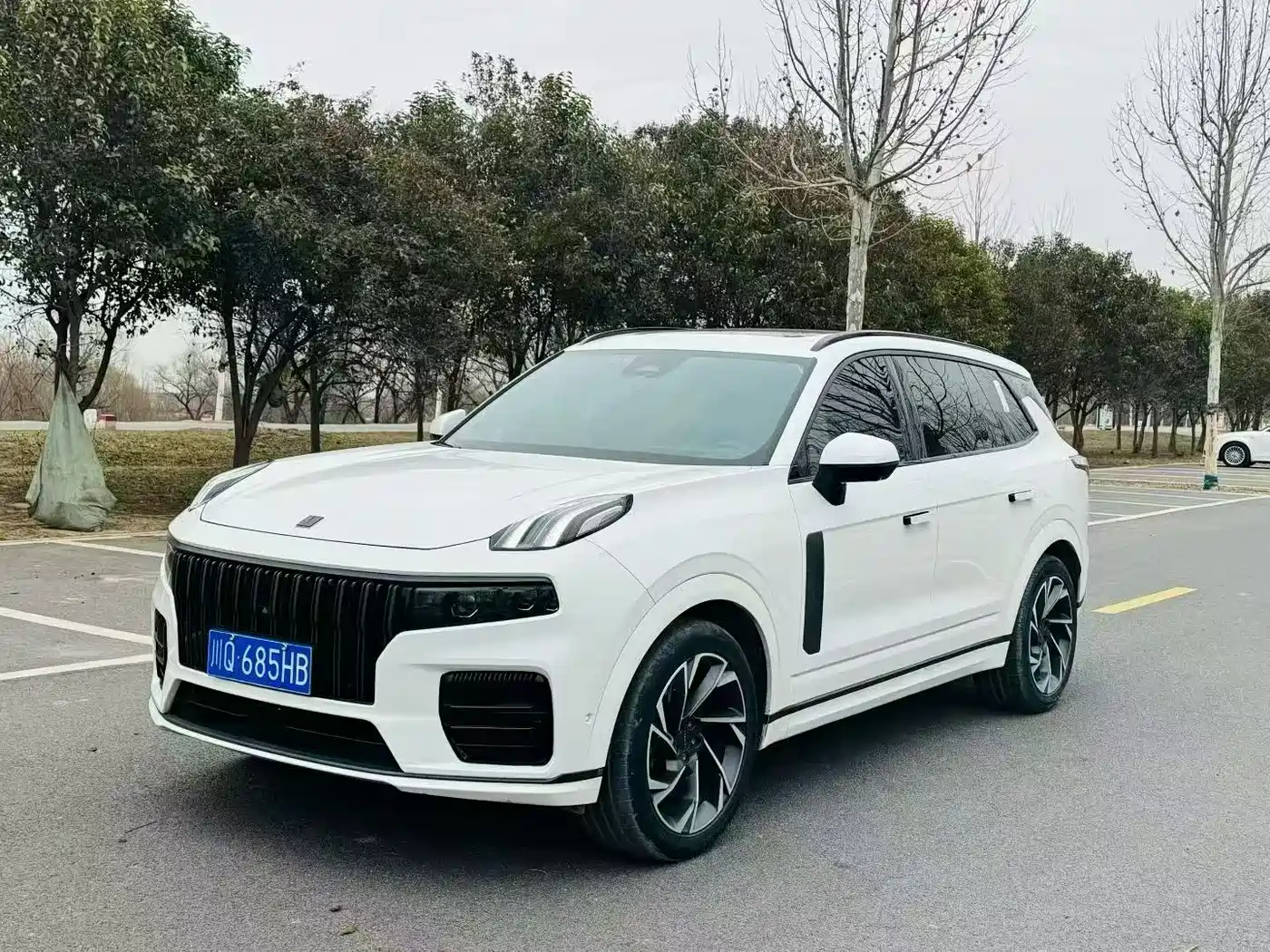 Lynk & Co 09 2021 2.0T Ultra 6-Seater фото 2
