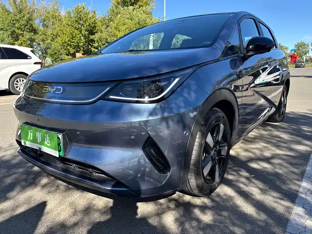 BYD Dolphin 2025 Smart Drive Edition 410km Fashion Version — фото 1